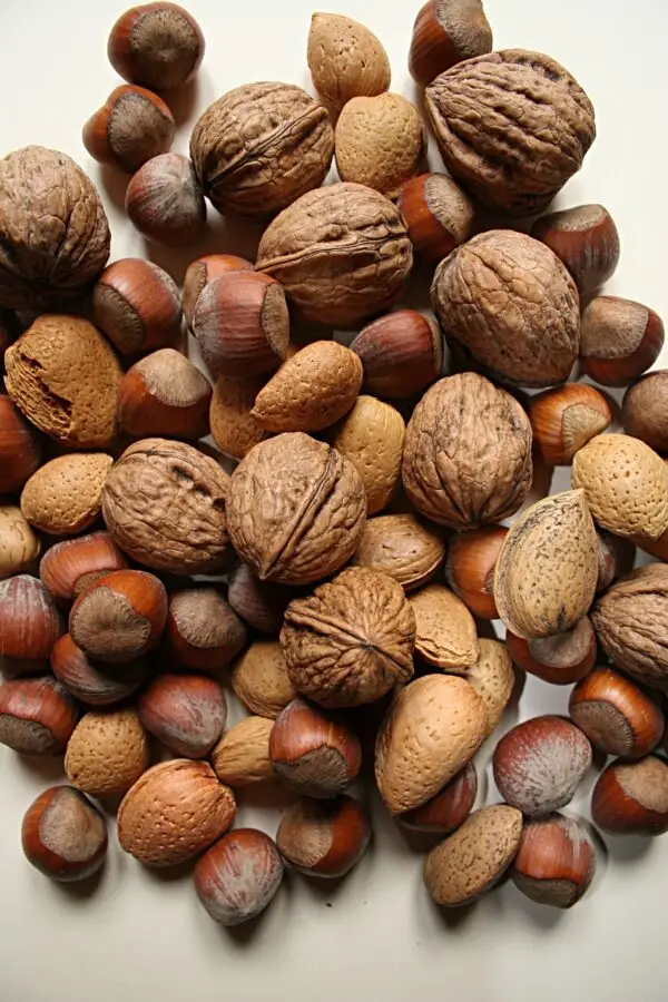 nut, nuts, food-3562840.jpg